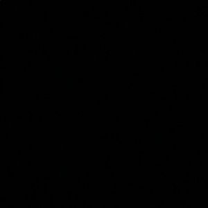 Meet your Posher, Izzy